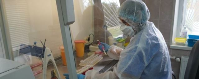 В Воронежской области за сутки выявлено 293 случая коронавируса